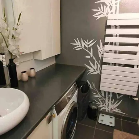 Tichnich - 2 Bedrooms - 1 Min Away From Train Station Annemasse